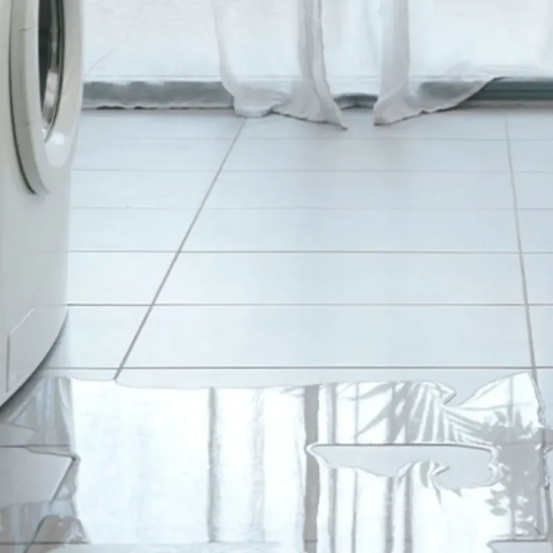 Appliance Leak Cleanup in Edison, GA