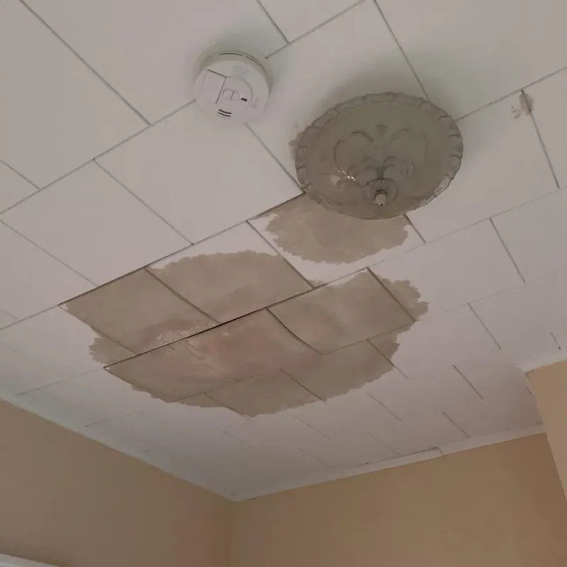 Ceiling Water Damage Repair in Edison, GA