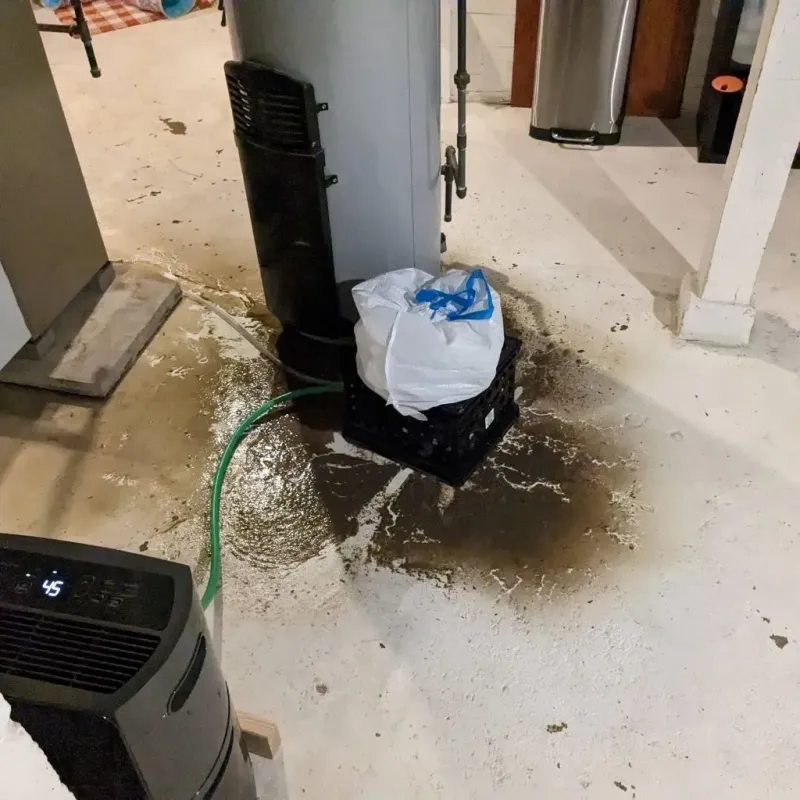 Sewage Backup Cleanup Service in Edison, GA